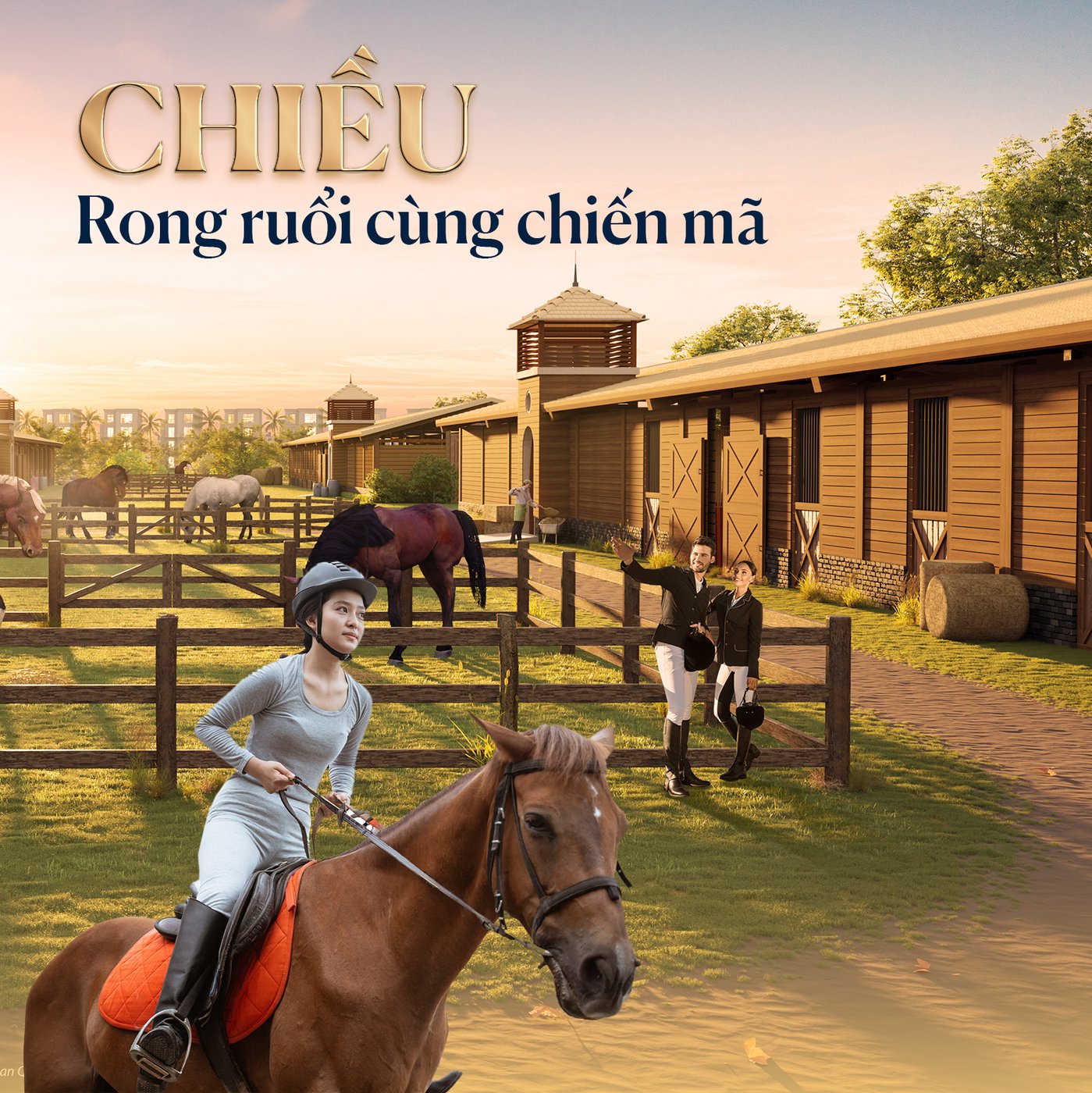 học viện cưỡi ngựa vin vũ yên.jpg